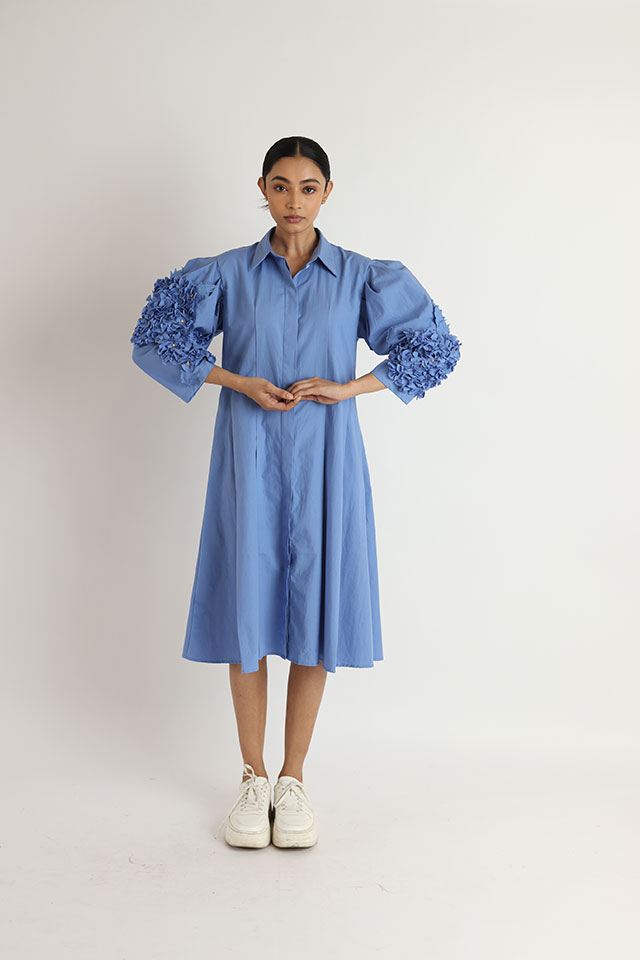 Pleated Waist Dress